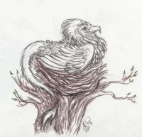 Fluffy griffin